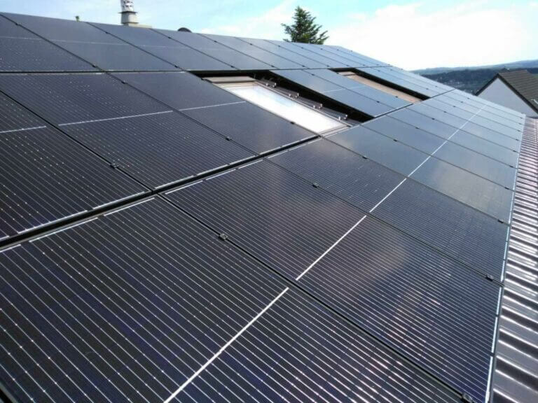 PHOTO-2023-08-15-10-43-48 3